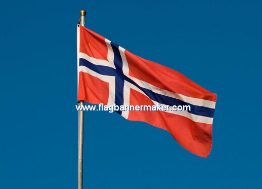 Custom Norway Flag
