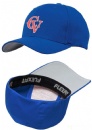 Printed logo golf hat